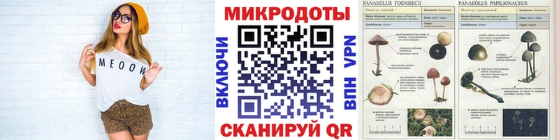 ОМГ ОМГ как войти  Добрянка  Галлюциногенные грибы Psilocybe 
